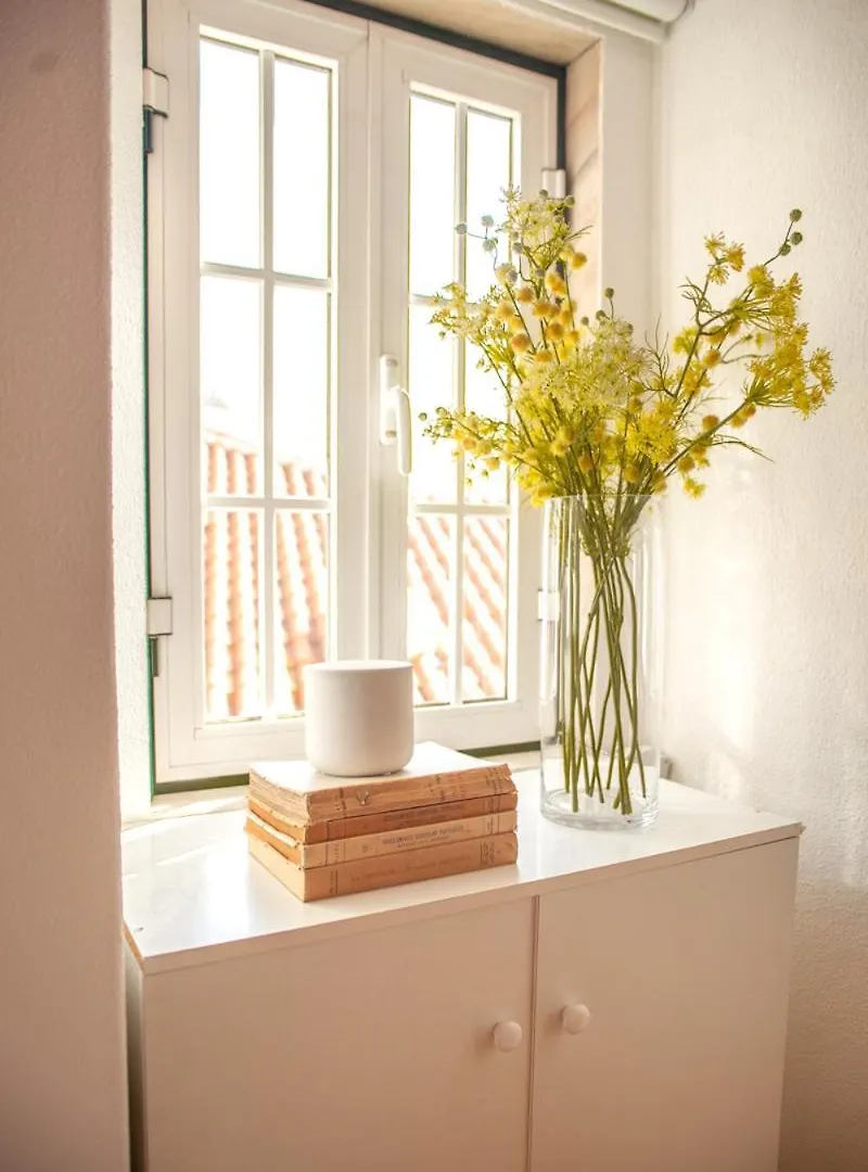 Appartement Tejo View At Alfama Stairs With Terrace à Lisboa Portugal